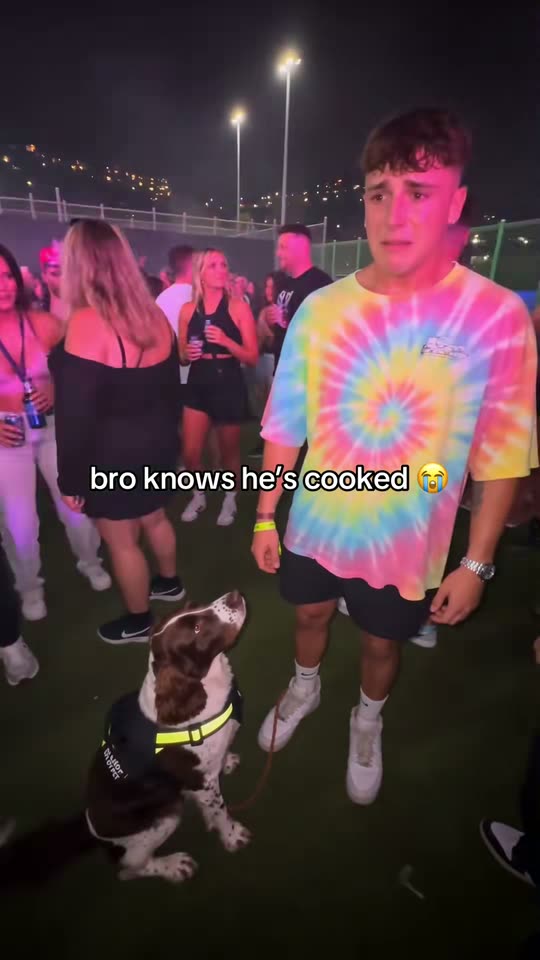 The original Caught by the sniffer dog Sniffer Dog Meme reel by @stitchthesnitchh